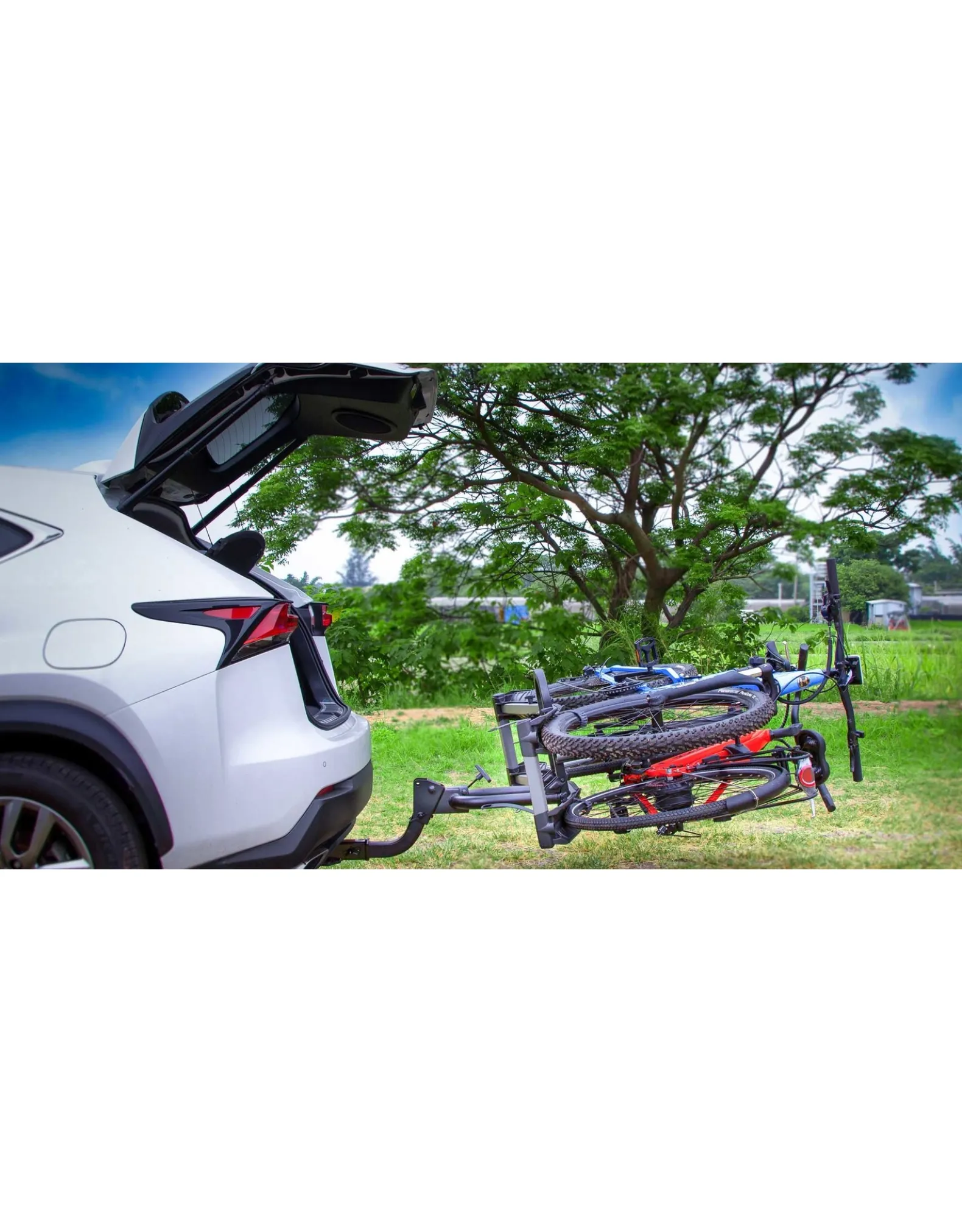 Buzz Rack E-HORNET H2 (2 Vélos Électriques)